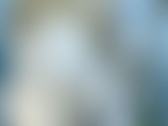 外壁塗装の下塗り、重要性と種類