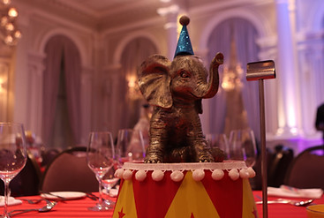 Circus Performer and Decor - Hire for your corporate event or wedding