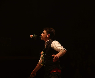 Hire a Rose Whip Cracking Performer for your wedding or corporate event