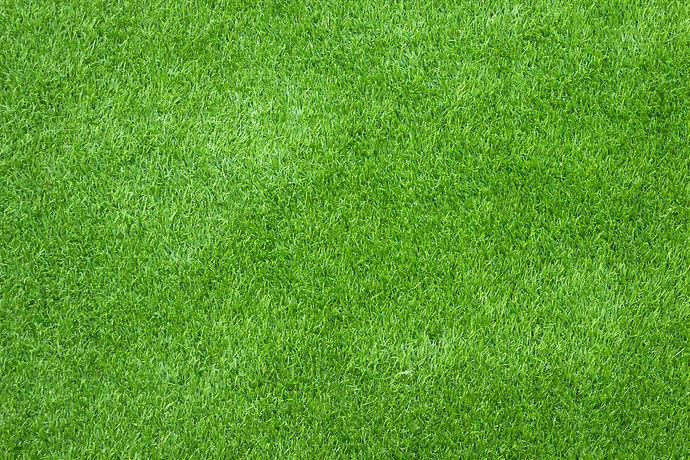 vecteezy_green-grass-for-texture-or-background_1955075.jpg