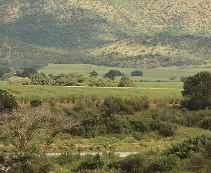 Conservation