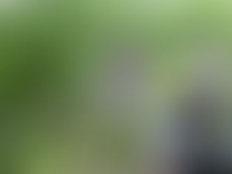 [Star-Advertiser] Letter: Haiku Stairs Could Help Tourism, Environment