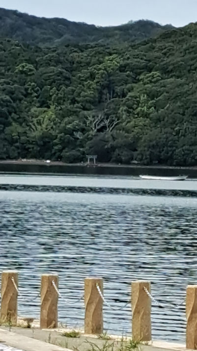 【徳島チーム】鳴門へフィールドワークに行ってきました
