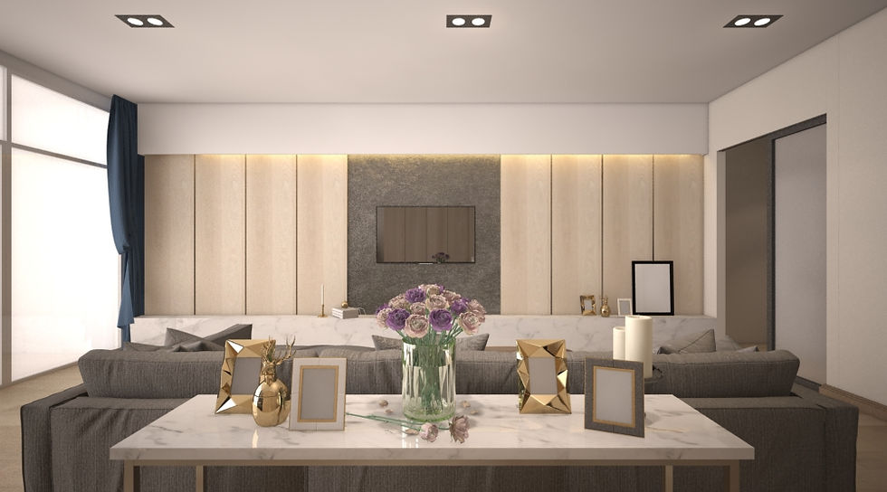 HOUSE N° 1