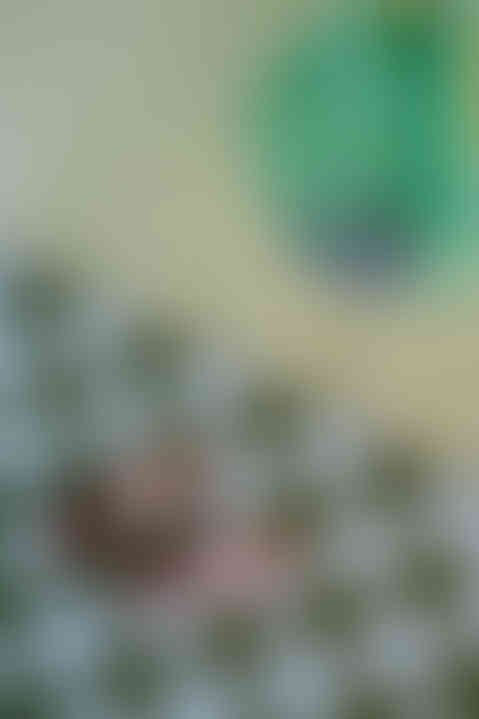 Mieszkanie w energetycznych kolorach, z odważną niebiesko-zieloną szachownicą na podłodze, znajduje się na warszawskim Targówku. Zdecydowanie wyróżnia się w ofercie mieszkań na wynajem. Mimo niewielkiej powierzchni, udało się w nim zmieścić wszystkie niezbędne funkcje. Żółta zabudowa meblowa kryje szafy, pralkę, szafkę gospodarczą z miejscem na odkurzacz oraz domowe biuro. Brzoskwiniowy kolor ścian odczarowuje ten, kojarzony z wczesnymi latami 00., kolor. 