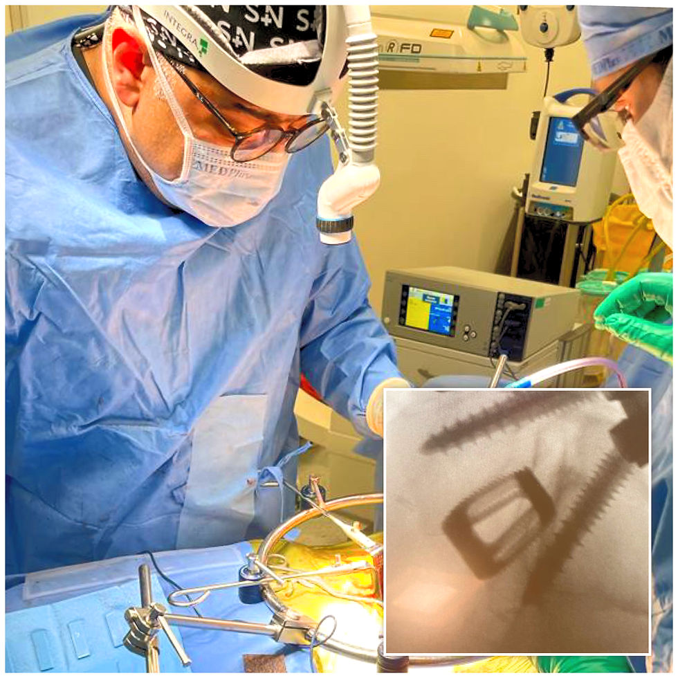 Alt="Dr Basil Al Sharef"