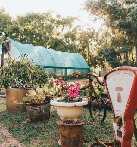 Decoración de vintage de huerta