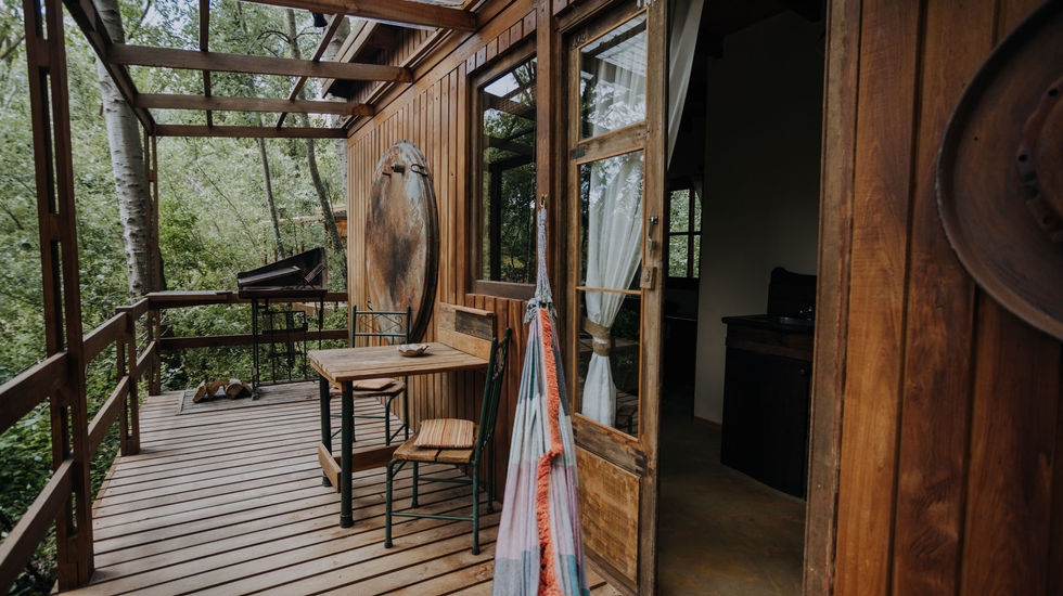 deck de madera inmerso en el bosque 