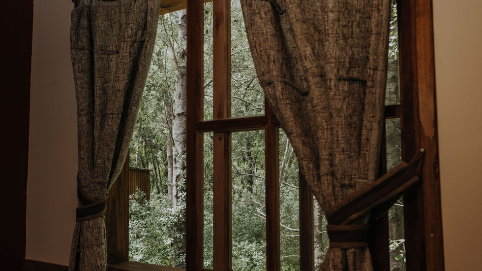 ventana con vista al bosque