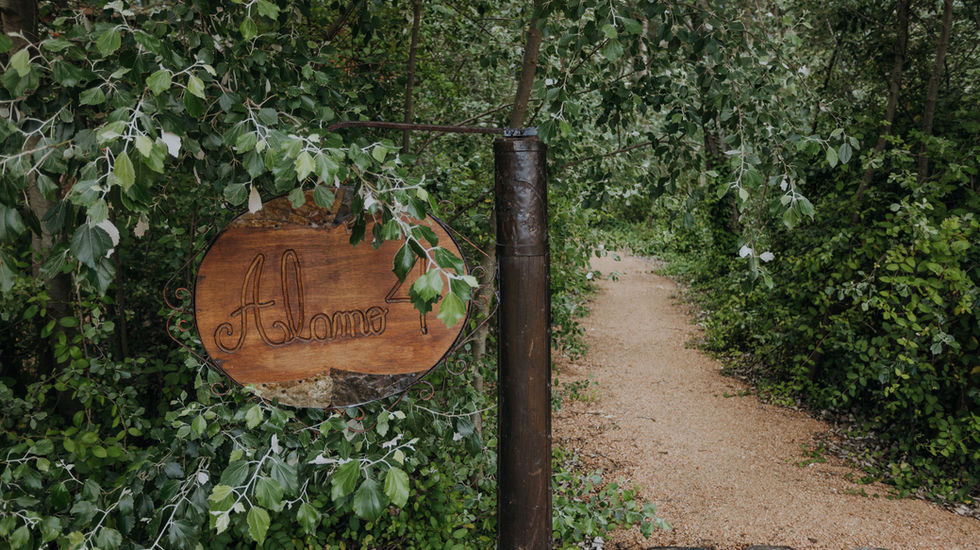 camino por el bosque 