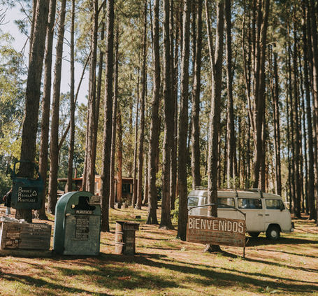 Bienvenidos al bosque de la estancia ch