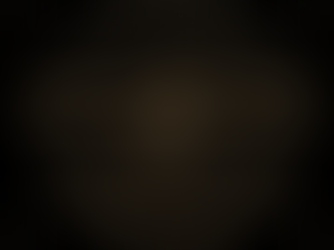 A Celebration of the Life of Harry Mastrogeorge (’50)