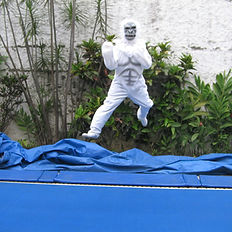 Artur de Macaco Albino na cama elástica