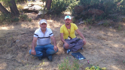 Karaca Forest Management