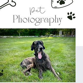 pet photography.png