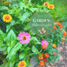 garden photography.png