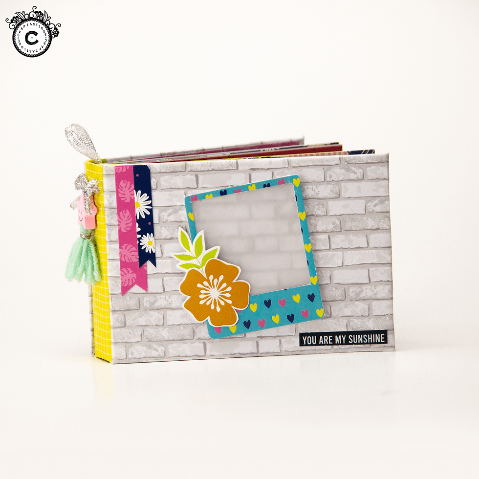 Thumbnail: Printed Paperpack