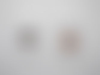 Desaparecer en el paisaje: una conversación con Helga Hansen y Jacqueline Loss