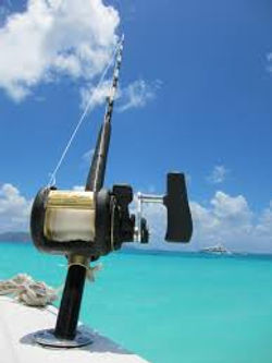 images (1)