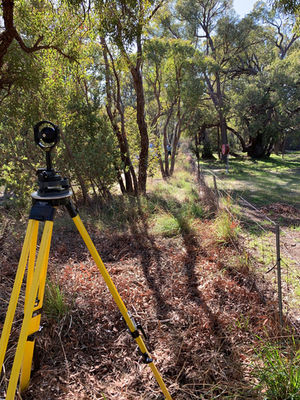 02. Target in bush.jpeg