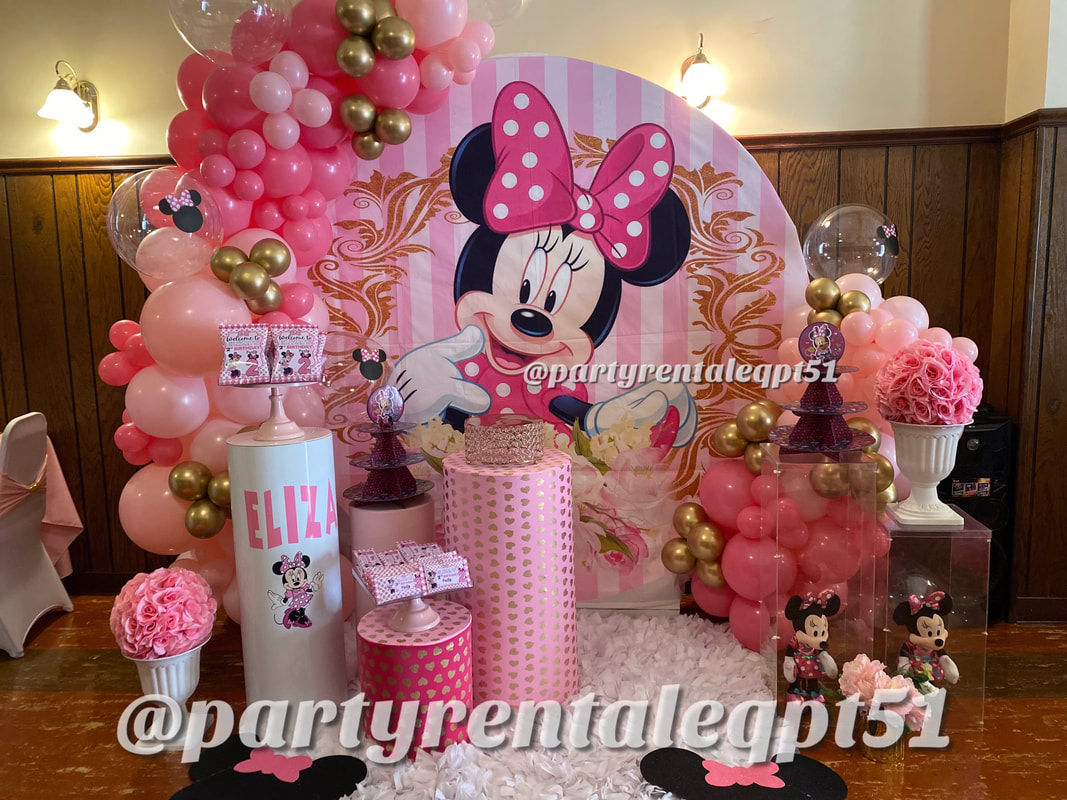 Minnie Mouse Party Decorations