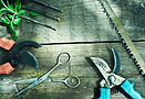 "Spring garden tidy-up including border edging and debris removal"