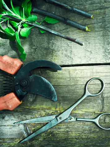 Gardening Tools