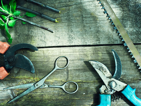 February gardening tips