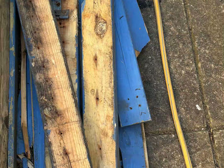 Summer of growing Vietnamese herbs.