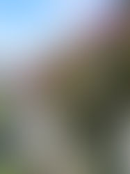 The Most Remarkable Home You've Never Noticed