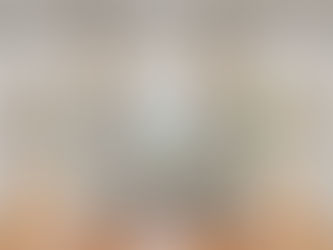 sunroom at 1514 arabella a cool murphy real estate listing, light hitting heart pine floors historic home