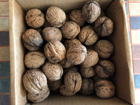 Four Friends and a Few Nuts