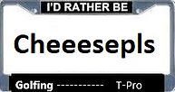 cheeesepls.jpg
