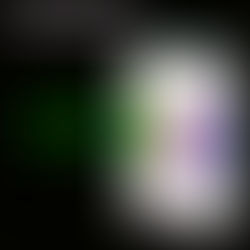 Voice: Essays by Jaydeep Shah [1 DAY TO GO]