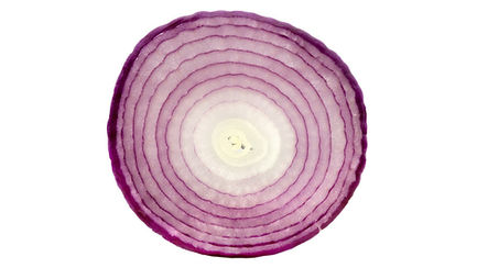 Written Blog: Original Sin