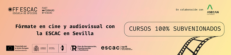 CURSOS 100_ SUBVENIONADOS (2512 x 596 px).png