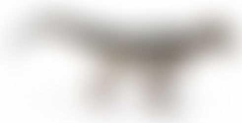 Glossario: Allosauridae