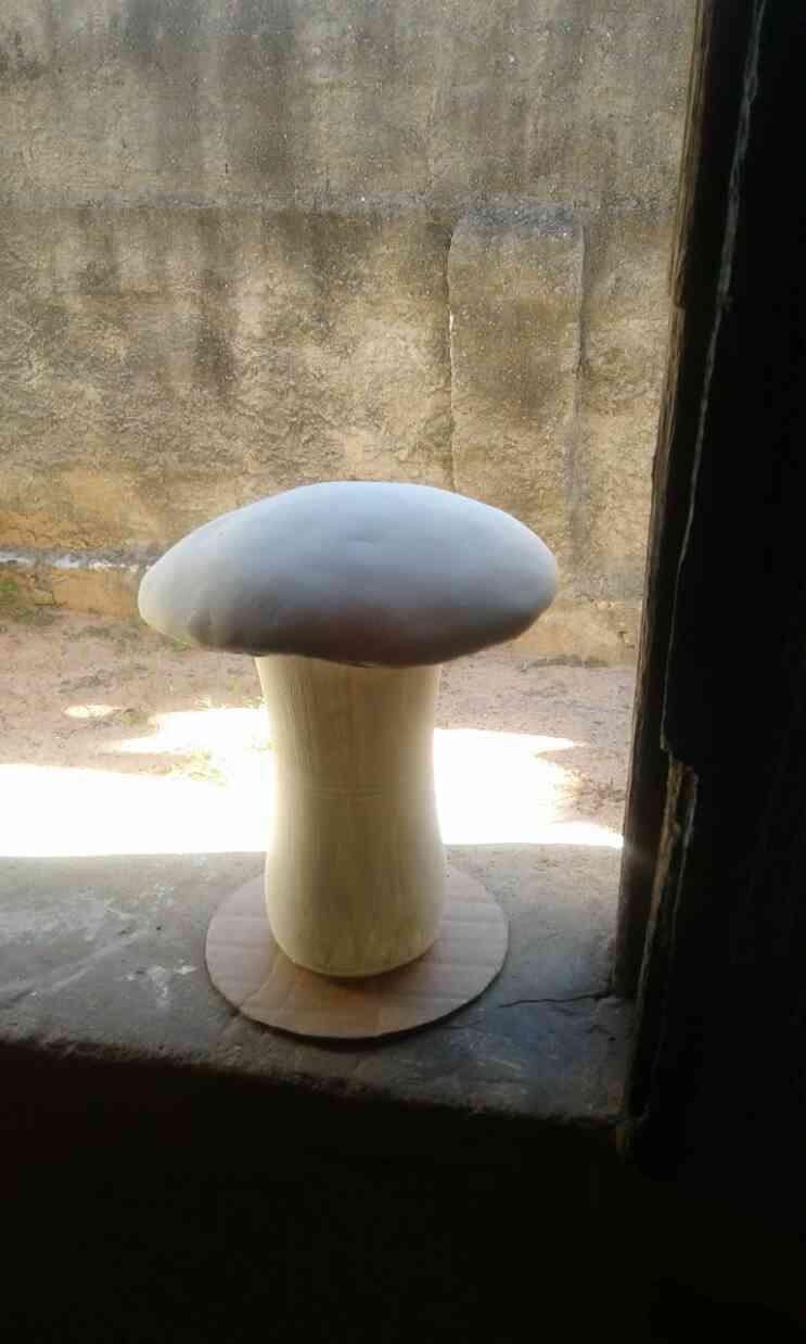 cogumelo