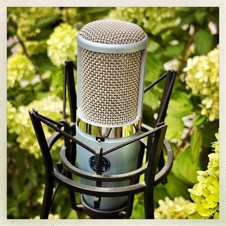 Silver microphone in a black stand, set against lush green foliage with light yellow flowers. MC initials in the corner.