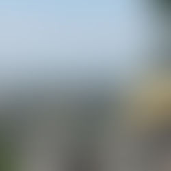 A busy city where people are in need of natural connection