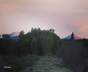 Photo representing trauma-informed online therapy and intensives in Colorado for adults healing from burnout, religious traum