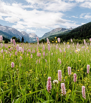 17_Wagrain-Kleinarl_Sommer_Wandern_Tappenkarsee_(c)EduardoGellner (3).jpg