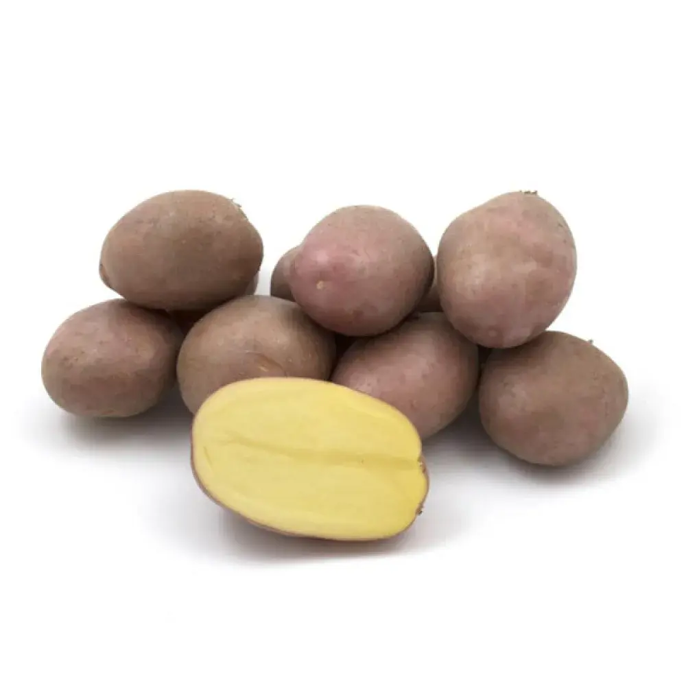 Коразон 2,5 кг Агріко