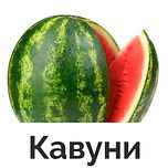 kavun-imp-500x500_edited.jpg