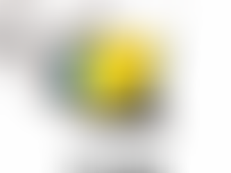 Focus on Blur Goggles - The best value MX Goggle range on the market.