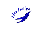 IDI 1.0 TRANSPARENT.png