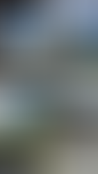 journal | Ikkunoita Tukholmaan, kesä recap osa 2