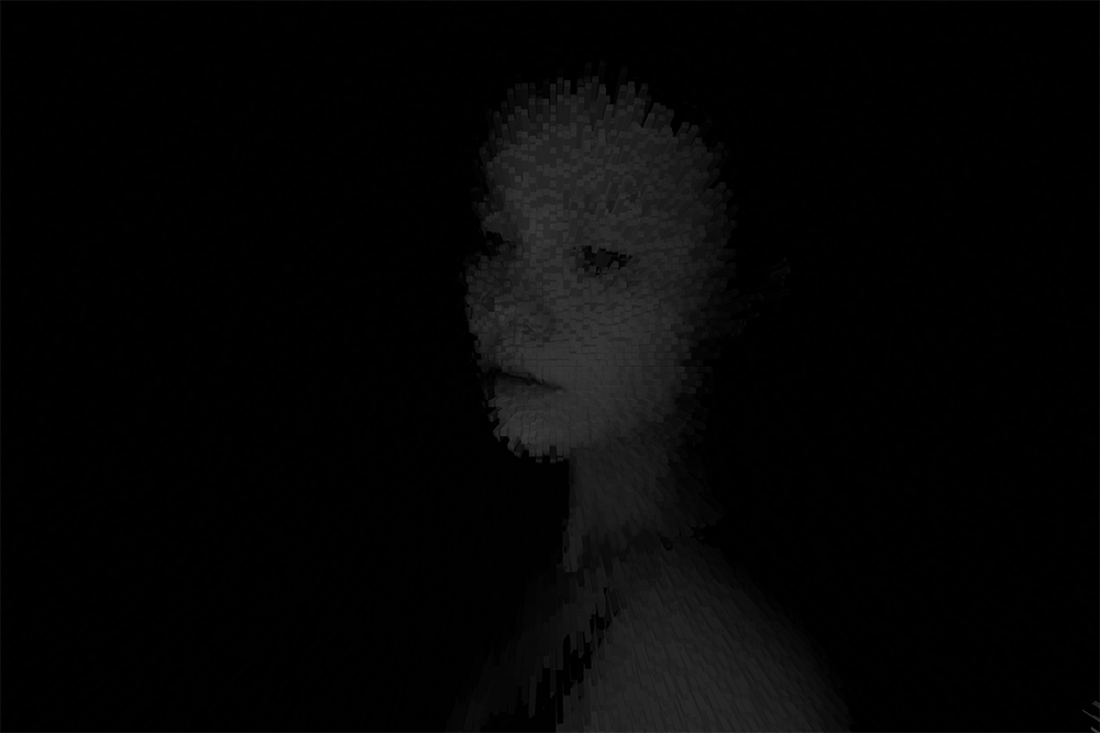taidekuvahidas.gif