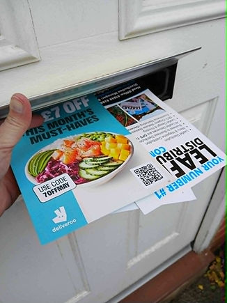 Leaflet Distribution Tadpole Garden Village 6.jfif