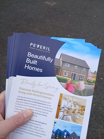 Norwich Solus Leaflet Distribution 2.jfif